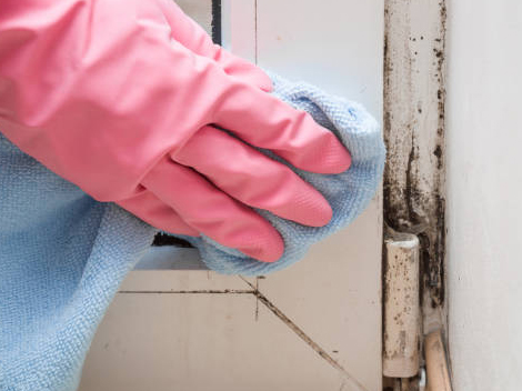 Mould cleaning